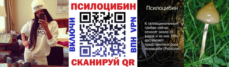 Галлюциногенные грибы ЛСД  где продают   Катайск 